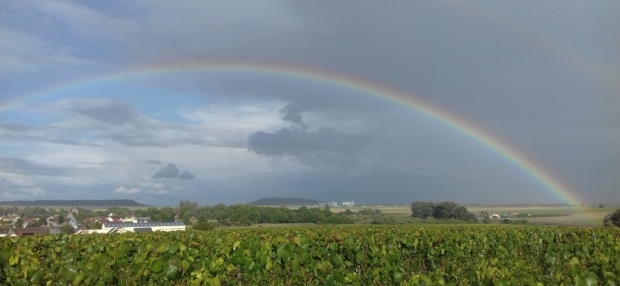 Apres la pluie un superbe arc en ciel sur les vignes de Vert-Toulon