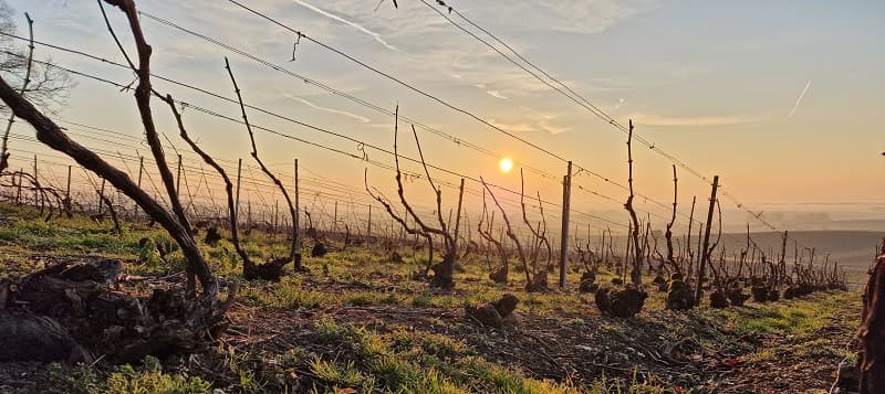 Vitesse d'un bouchon de Champagne - La Feuille de Vigne