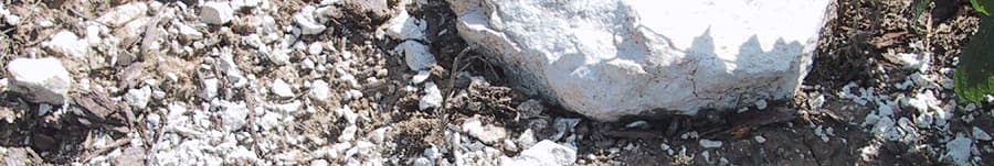 Terroir de Champagne